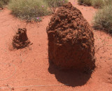 Ant or termite mound