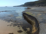 Pebbly Beach