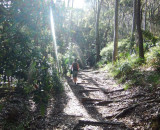 Pebbly Beach - Pam on path