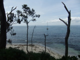 Jervis Bay