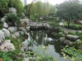 Chinese Garden of Friendship in Sydney