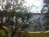 Elizabeth Bay from Pam's sister's apartment in Sydney