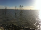 Menindee lakes