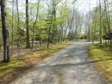 Lovely home driveway