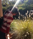 Pam at Tamworth Botanical Garden