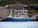 Fryanes Senior SF-24-S