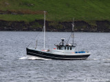 Sjberi FD 115
