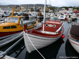 Margit TN 1257