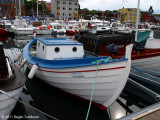 Svanurin TN 480