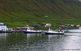 Vestmenningur & Fram