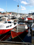 lvurin TN 1361