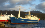 Hoyvkingur TG 900