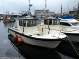 Snykur TN 725