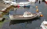 Thomasia TN 1344