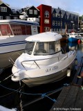 Svanurin TN 1331