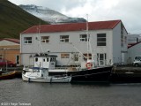 Blstein