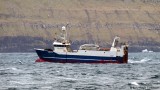 Skúgvur FD 71