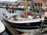 Nemo TG 75
