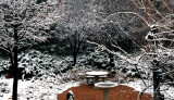 LATE SPRING SNOW 903S.jpg my back yard