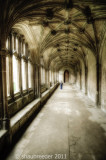 1711-Lacock Abbey cloisters