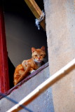 DSC_1540_resize.jpg