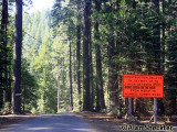 Sign at Butte Meadows, for Stirling City, Magalia, and Paradise-bound travelers