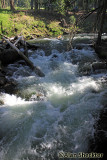 Swift-running Butte Creek at Cherry Hill Campgrounds