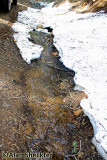 Still-active snowmelt along Humboldt Road, at about 5,500 feet on June 26