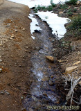 Still-active snowmelt along Humboldt Road, at about 5,500 feet on June 26