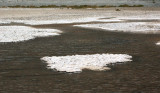Salt crusts amid tiny area of water at Badwater Basin