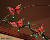 Butterflies on the light-decorated indoor trees