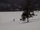 Riverdale Park, Toronto