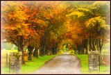 Autumn Avenue.jpg