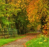 Autumn Walk.jpg