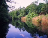 Berendonck