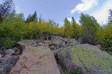 Rocky Mountain National Park 2011