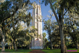 The Tower