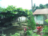 Puerto Quetzal, Guatamala-house front
