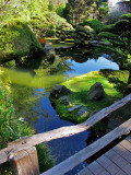 japanese tea garden, san francisco ca.