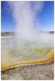 Hot Spring, Yellowstone National Park