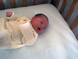 20120129_4_Days_Old.jpg