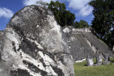 unmarked stela 2672