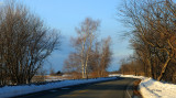 110214_132.jpg