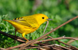 110424_08.jpg