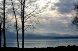 12-31-11_030_1.jpg