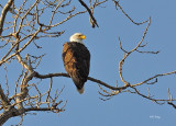 12-31-11_068_1.jpg