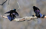 4-8-12_360.jpg