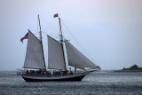 IMG_1124 copy.jpg