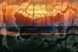 Ray Hubbard Reservior