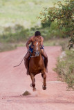 Horse rider